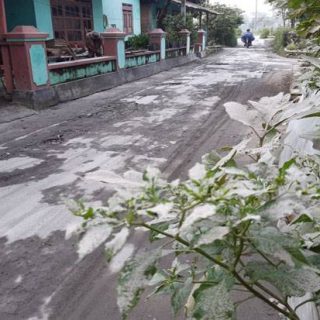 Pepohonan dan jalan-jalan di wilayah Boyolali menjadi kotor terkena hujan abu Gunung Merapi