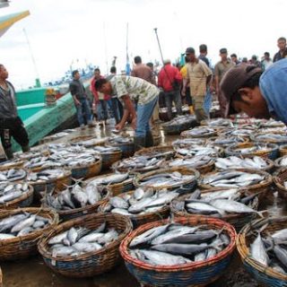 Produksi ikan Provinsi Jawa Tengah siap diekspor ke negara tujuan.