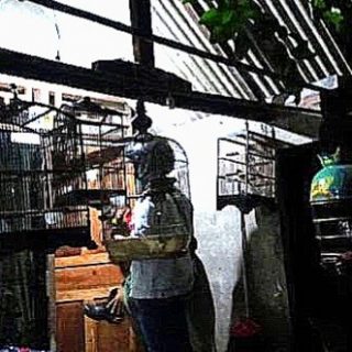 Rumah N terduga teroris yang ditangkap Tim Densus 88 Antiteror di Surabaya