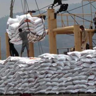 Beras impor selalu menjadi problem bagi para petani, lantaran hasil panenan mereka menjadi anjok nilai jualnya.