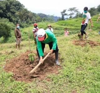 Masyarakat Dusun Bulu, Desa Salam, Karanganyar melakukan penanaman pohon di lahan tidak produktif