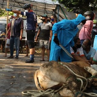 Gubernur Jawa Tengah, Ganjar Pranowo, sambil gowes berkeliling kampung mengecek pelaksanaan penyembelihan hewan kurban sejaligus mengingatkan penerapan prokes warga