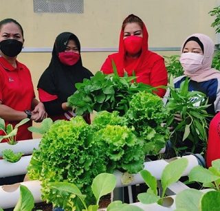 Wakil Wali Kota Semarang Hevearita G Rahayu memberikan edukasi kepada para anggota KWT soal urban farming.