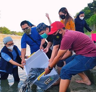 Para anggota Pelita Semarang melepas 500 benih ikan patin di Sungai Banjir Kanal Barat sebagai sarana untuk melestarikan alam.