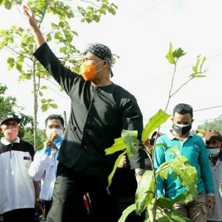 Gubernur Ganjar Pranowo bersama warga melakukan penanaman pohon penghijauan untuk pemulihan ekosistem hutan rakyat di kawasan aliran Sungai Serayu di Desa Pesanggrahan, Cilacap, Kamis (18/11)