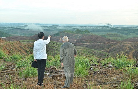 Presiden Joko Widodo saat meninjau lahan calon ibu kota baru
