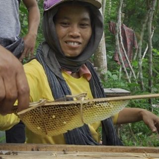 Proses pengambilan madu milik Aklis Nurdiansyah, pemilik usaha Wijaya Madu Borobudur, yang produksi dipesan sampai luar negeri