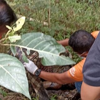 Tim Inafis Polrestebes Semarang melakukan pemeriksaan kondisi jasad korban
