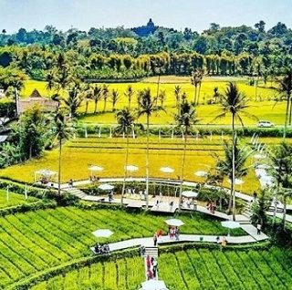 Destinasi wisata Svarga Bumi yang memanfaatkan area persawahan milik petani Magelang menyediakan banyak spot foto untuk pengunjung berswafoto
