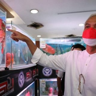 Gubernur Jateng Ganjar Pranowo mengunjungi Pameran dan Kontes Louhan Nasional bertajuk Gubernur Cup di Atrium Plaza Simpanglima