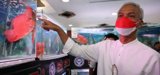 Gubernur Jateng Ganjar Pranowo mengunjungi Pameran dan Kontes Louhan Nasional bertajuk Gubernur Cup di Atrium Plaza Simpanglima