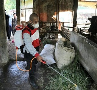 Penyemprotan kandang ternak sebagai upaya pencegahan Penyakit Mulut dan Kuku (PMK)