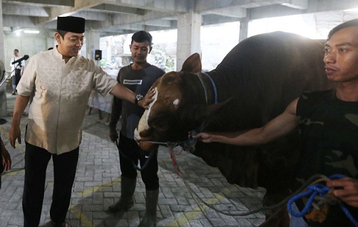 Wali Kota Semarang Hendrar Prihadi menyerahkan bantuan sapi kepada Takmir Masjid Agung Semarang dan Masjid Raya Baiturrahman masing-masing satu ekor.