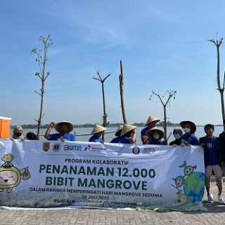Program kolaboratif penamanan 12.000 bibit di Pantai Mangunharjo Semarang yang melibatkan Pertamina, Angkasa Pura I dan BEM Undip, Selasa (26/7)