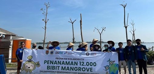 Program kolaboratif penamanan 12.000 bibit di Pantai Mangunharjo Semarang yang melibatkan Pertamina, Angkasa Pura I dan BEM Undip, Selasa (26/7)