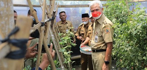 Gubernur Jawa Tengah, Ganjar Pranowo melihat green house lumbung sayur Pondok Makmur di Desa Pondok, Kecamatan Grogol, Kabupaten Sukoharjo, Senin (31/10/2022)