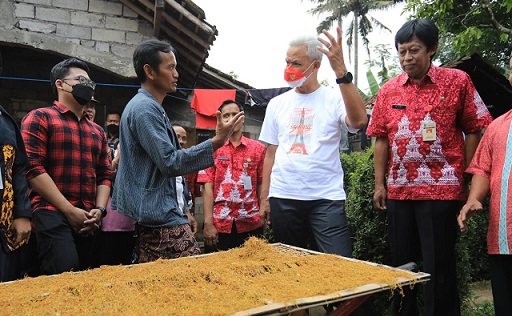 Gubernur Jawa Tengah, Ganjar Pranowo, melihat kreasi daun Talas Beneng menjadi pengganti tembakau yang dilakukan Agus Bekti, warga di Dusun Kalangan, RT 0 RW 05, Desa Sukoharjo, Kecamatan Pabelan, Kab. Semarang, Rabu (9/11)