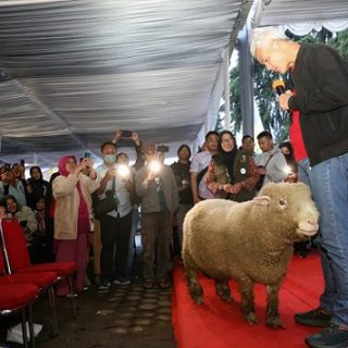Gubernur Jawa Tengah, Ganjar Pranowo, bersama ratusan petani Banjarnegara, Kamis (15/12/2022). Mereka mendapatkan bantuan domba Batur yang siap dikembangkan