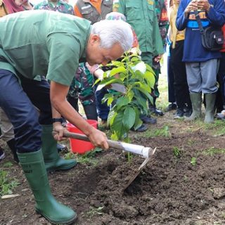 Gubernur Jawa Tengah, Ganjar Pranowo, bersama masyarakat Desa Nyemoh, Kecamatan Bringin, Kabupaten Semarang, dan anak sekolah menanam pohon di lahan kritis daerah aliran sungai (DAS) Tuntang, Sabtu (28/1/2023)