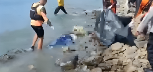 Penemuan Jenazah Mutilasi