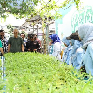 Capres 2024 Ganjar Pranowo mengunjungi RW 7 Kecamatan Kembangan, Jakarta Barat untuk melihat hasil urban farming yang dilakukan Kelompok Tani Wanita (KTW) Dsafa