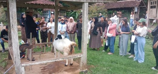 Kegiatan Outing Class yang diikuti 80 mahasiswa Program Studi Pariwisata Universitas Semarang (USM), berlangsung di Desa Wisata Nglanggeran, Kabupaten Gunungkidul, Yogyakarta, pada 2-3 Desember 2024. Para mahasiswa mendapatkan beberapa edukasi, salah satunya terkait peternakan kambing etawa