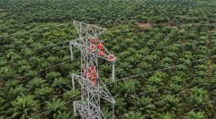 PLN Dorong Interkoneksi ASEAN Power Grid untuk Akselerasi Transisi Energi Bersih