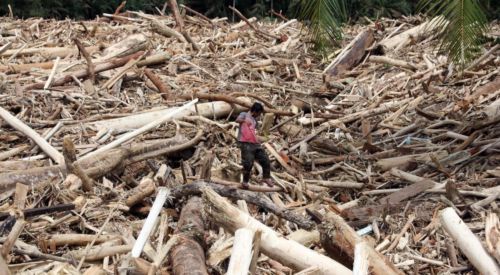 Kemenhut Percepat Penataan Lokasi Hunian Tetap di Wilayah Terdampak Aceh dan Sumut