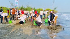 Peringati Hari Lingkungan Hidup Sedunia, PLN IP dan Pemprov Jateng Tanam 2.000 Mangrove di Pantai Tirang