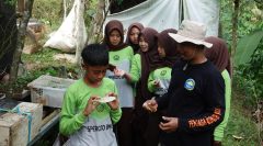 SEPMI Ajak Siswa Belajar Beternak Lebah Madu, Tanamkan Cinta Lingkungan Sejak Dini
