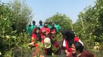 UKM PIB USM Tanam Mangrove di Eduwisata Mangrove Camar